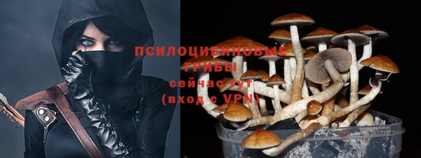 прущие грибы Алексеевка