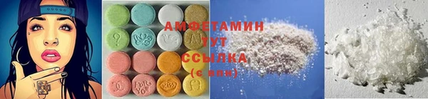 прущие грибы Алексеевка