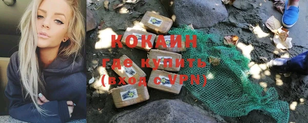 трава Абаза
